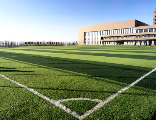 内蒙古师范大学足球训练学校